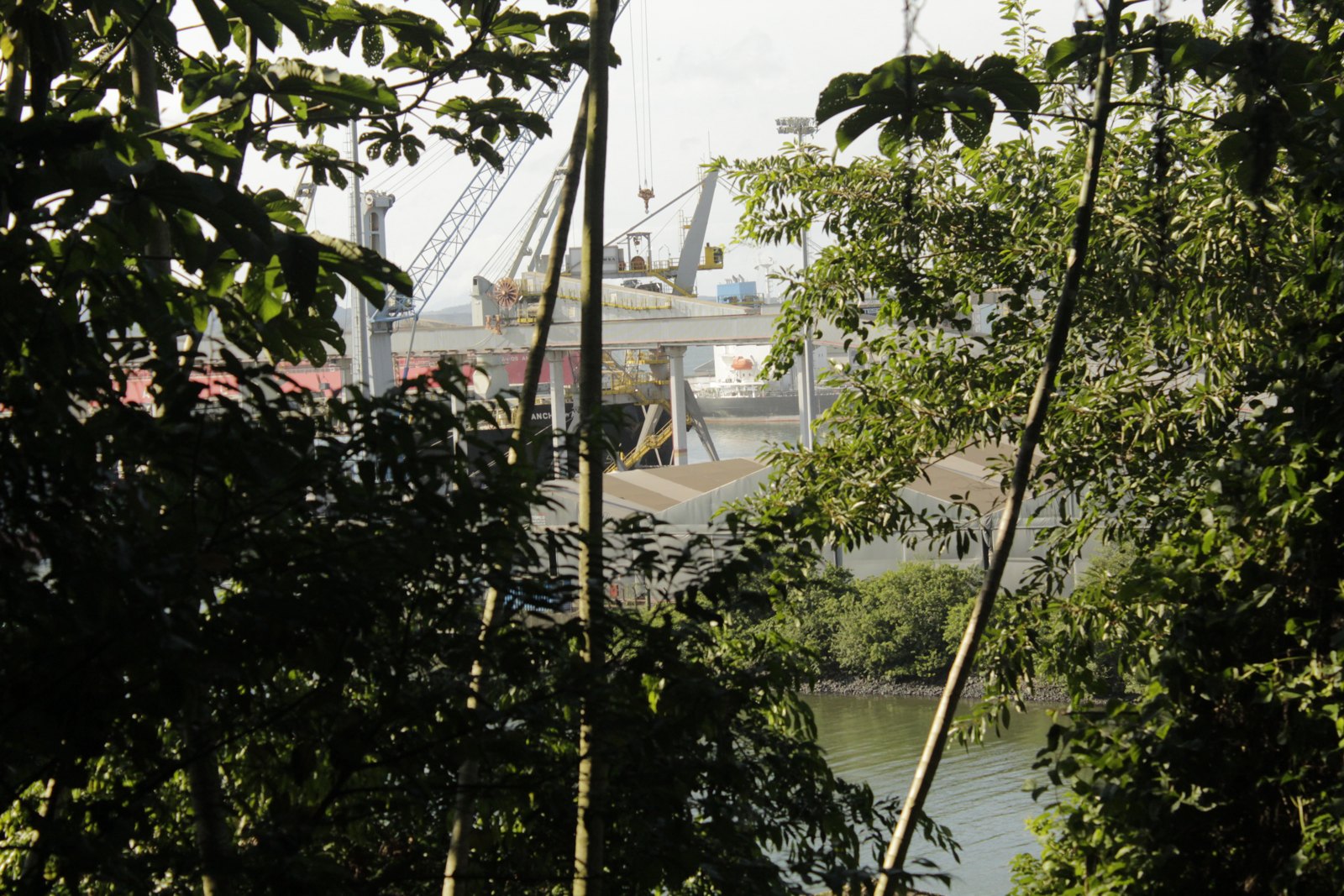 Vista do Porto de São Francisco do Sul